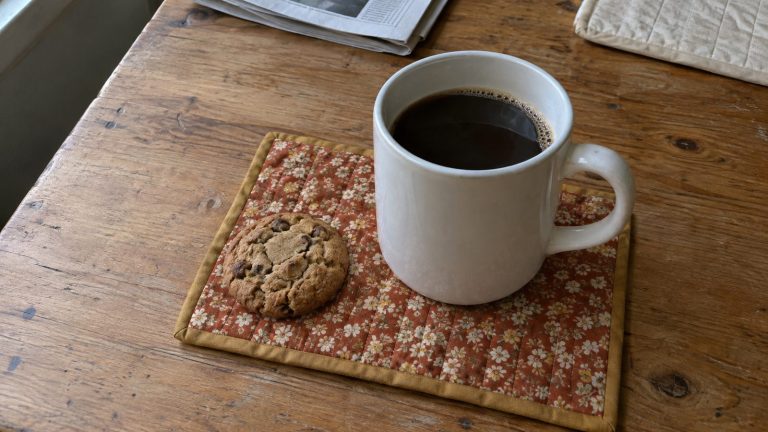 How to Sew a Quilted Mug Rug (Plus Pumpkin and Christmas Versions)